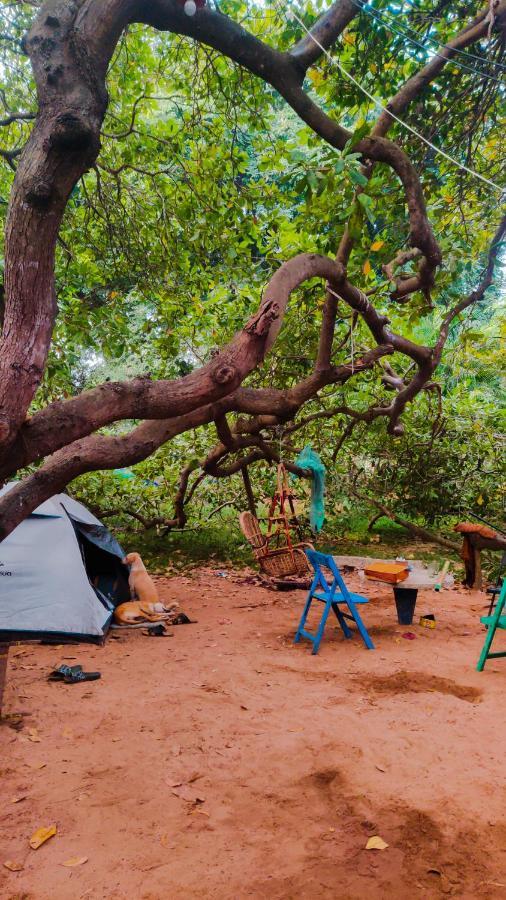 Peace Garden Hostel Auroville Exterior photo